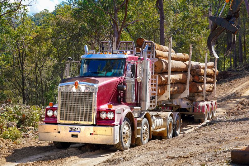 Oz Truck Photography by Jeremy Rogers