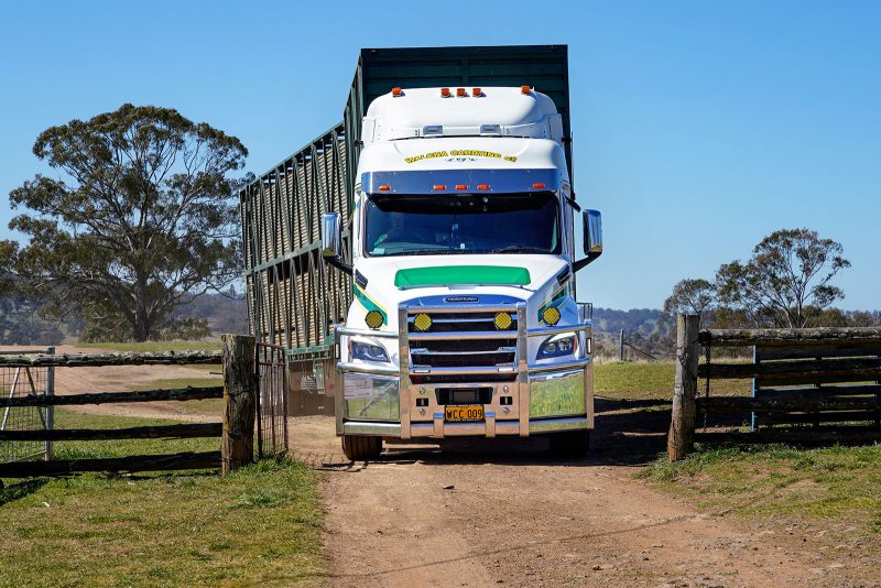 Oz Truck Photography by Jeremy Rogers